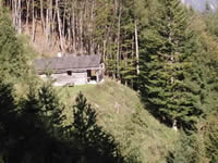 Jagd-  Forstgut in Oberösterreich / Salzburg, Traumlage